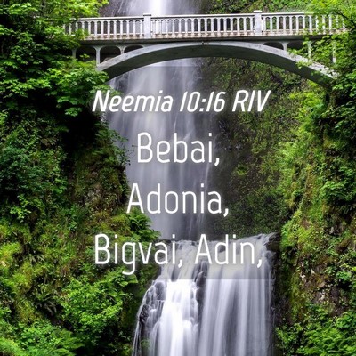 Picture 04 - Neemia 10:16 RIV - Bebai, Adonia, Bigvai, - Bible Verse Picture