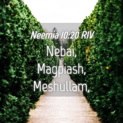 Picture 04 - Neemia 10:20 RIV - Nebai, Magpiash, - Bible Verse Picture