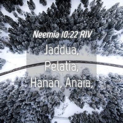 Picture 04 - Neemia 10:22 RIV - Jaddua, Pelatia, Hanan, - Bible Verse Picture