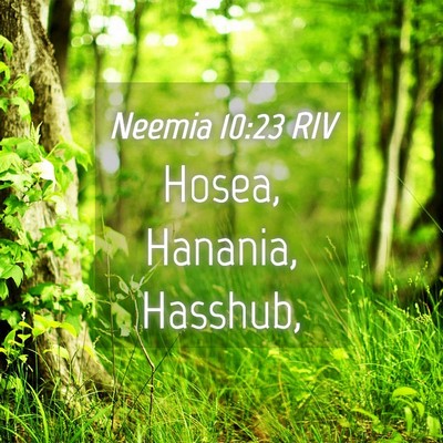 Picture 04 - Neemia 10:23 RIV - Hosea, Hanania, - Bible Verse Picture