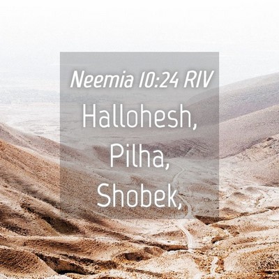 Picture 04 - Neemia 10:24 RIV - Hallohesh, Pilha, - Bible Verse Picture
