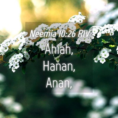 Picture 04 - Neemia 10:26 RIV - Ahiah, Hanan, - Bible Verse Picture