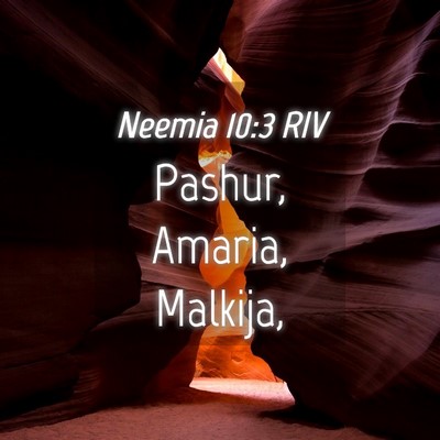 Picture 04 - Neemia 10:3 RIV - Pashur, Amaria, - Bible Verse Picture