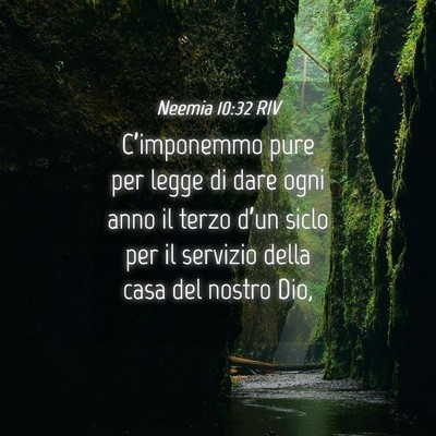 Picture 04 - Neemia 10:32 RIV - C’imponemmo pure per legge di dare ogni anno il - Bible Verse Picture