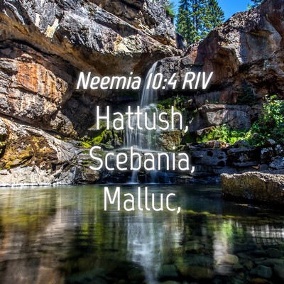 Picture 04 - Neemia 10:4 RIV - Hattush, Scebania, - Bible Verse Picture
