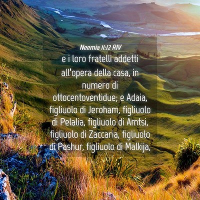 Picture 04 - Neemia 11:12 RIV - e i loro fratelli addetti all’opera della casa, - Bible Verse Picture