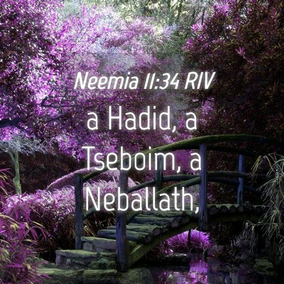 Picture 04 - Neemia 11:34 RIV - a Hadid, a Tseboim, a - Bible Verse Picture