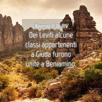 Picture 04 - Neemia 11:36 RIV - Dei Leviti alcune classi appartenenti a Giuda - Bible Verse Picture
