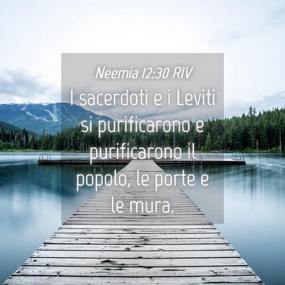 Picture 04 - Neemia 12:30 RIV - I sacerdoti e i Leviti si purificarono e - Bible Verse Picture