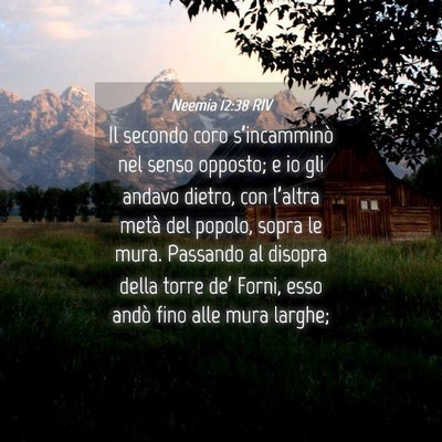 Picture 04 - Neemia 12:38 RIV - Il secondo coro s’incamminò nel senso opposto; - Bible Verse Picture