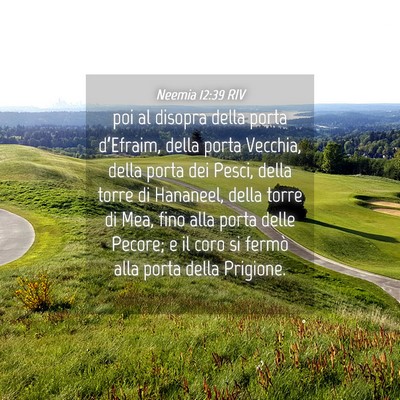 Picture 04 - Neemia 12:39 RIV - poi al disopra della porta d’Efraim, della - Bible Verse Picture