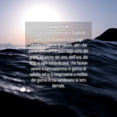 Picture 04 - Neemia 13:15 RIV - In que’ giorni osservai in Giuda di quelli che - Bible Verse Picture