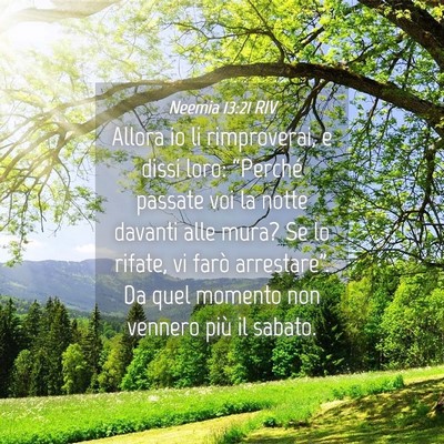 Picture 04 - Neemia 13:21 RIV - Allora io li rimproverai, e dissi loro: - Bible Verse Picture