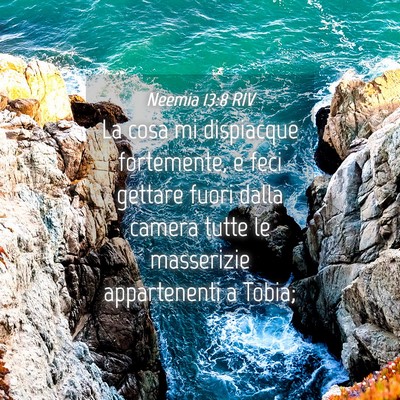 Picture 04 - Neemia 13:8 RIV - La cosa mi dispiacque fortemente, e feci gettare - Bible Verse Picture