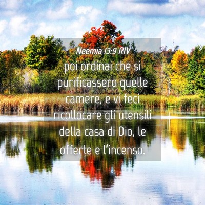 Picture 04 - Neemia 13:9 RIV - poi ordinai che si purificassero quelle camere, e - Bible Verse Picture
