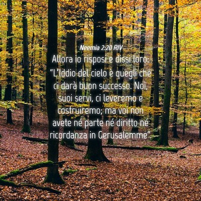 Picture 04 - Neemia 2:20 RIV - Allora io risposi e dissi loro: “L’Iddio del - Bible Verse Picture