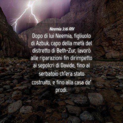 Picture 04 - Neemia 3:16 RIV - Dopo di lui Neemia, figliuolo di Azbuk, capo - Bible Verse Picture