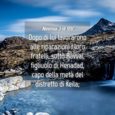 Picture 04 - Neemia 3:18 RIV - Dopo di lui lavorarono alle riparazioni i loro - Bible Verse Picture
