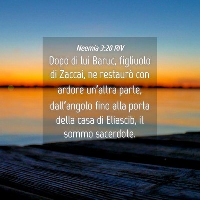 Picture 04 - Neemia 3:20 RIV - Dopo di lui Baruc, figliuolo di Zaccai, ne - Bible Verse Picture