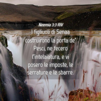 Picture 04 - Neemia 3:3 RIV - I figliuoli di Senaa costruirono la porta de’ - Bible Verse Picture