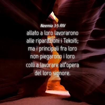 Picture 04 - Neemia 3:5 RIV - allato a loro lavorarono alle riparazioni i - Bible Verse Picture