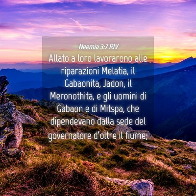 Picture 04 - Neemia 3:7 RIV - Allato a loro lavorarono alle riparazioni - Bible Verse Picture