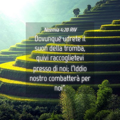 Picture 04 - Neemia 4:20 RIV - Dovunque udrete il suon della tromba, quivi - Bible Verse Picture