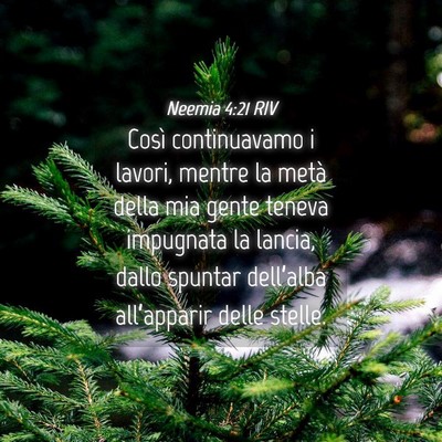 Picture 04 - Neemia 4:21 RIV - Così continuavamo i lavori, mentre la metà - Bible Verse Picture