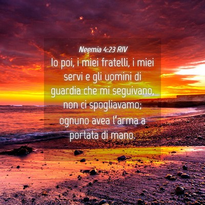 Picture 04 - Neemia 4:23 RIV - Io poi, i miei fratelli, i miei servi e gli - Bible Verse Picture