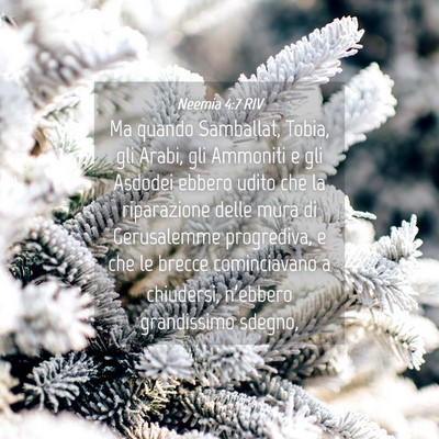 Picture 04 - Neemia 4:7 RIV - Ma quando Samballat, Tobia, gli Arabi, gli - Bible Verse Picture