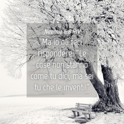 Picture 04 - Neemia 6:8 RIV - Ma io gli feci rispondere: “Le cose non stanno - Bible Verse Picture