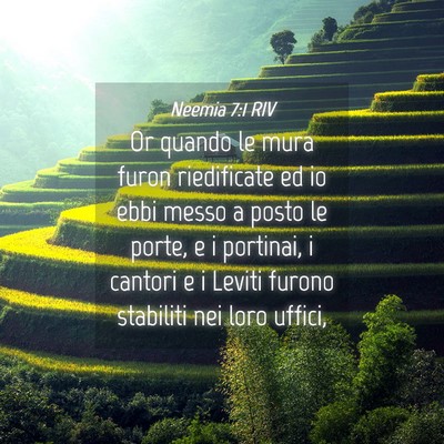 Picture 04 - Neemia 7:1 RIV - Or quando le mura furon riedificate ed io ebbi - Bible Verse Picture