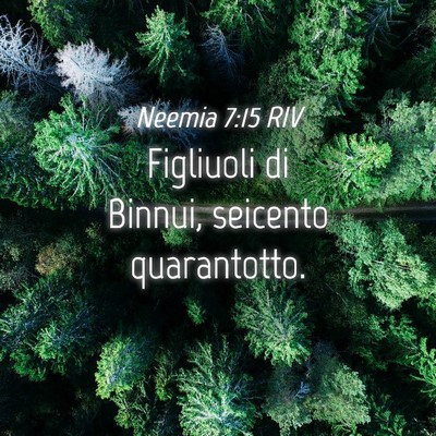 Picture 04 - Neemia 7:15 RIV - Figliuoli di Binnui, seicento - Bible Verse Picture