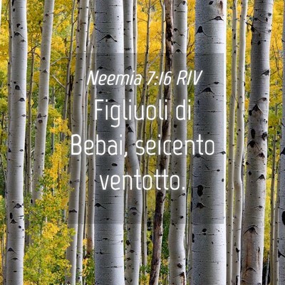 Picture 04 - Neemia 7:16 RIV - Figliuoli di Bebai, seicento - Bible Verse Picture