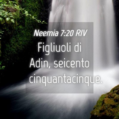 Picture 04 - Neemia 7:20 RIV - Figliuoli di Adin, seicento - Bible Verse Picture