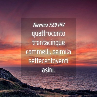Picture 04 - Neemia 7:69 RIV - quattrocento trentacinque cammelli, seimila - Bible Verse Picture