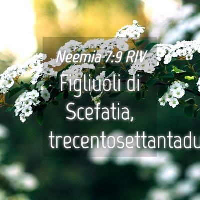 Picture 04 - Neemia 7:9 RIV - Figliuoli di Scefatia, - Bible Verse Picture