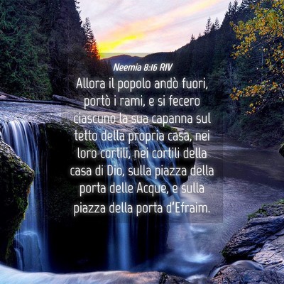 Picture 04 - Neemia 8:16 RIV - Allora il popolo andò fuori, portò i rami, e si - Bible Verse Picture
