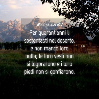Picture 04 - Neemia 9:21 RIV - Per quarant’anni li sostentasti nel deserto, e - Bible Verse Picture