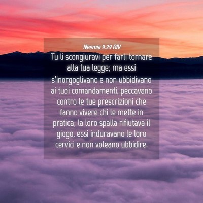 Picture 04 - Neemia 9:29 RIV - Tu li scongiuravi per farli tornare alla tua - Bible Verse Picture
