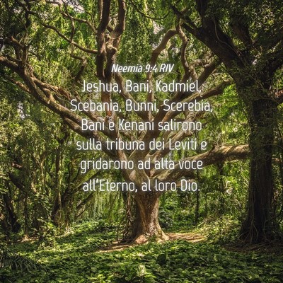 Picture 04 - Neemia 9:4 RIV - Jeshua, Bani, Kadmiel, Scebania, Bunni, Scerebia, - Bible Verse Picture