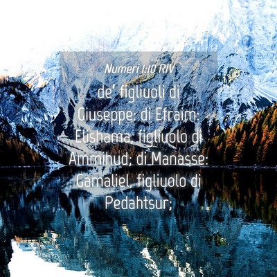 Picture 04 - Numeri 1:10 RIV - de’ figliuoli di Giuseppe: di Efraim: Elishama, - Bible Verse Picture