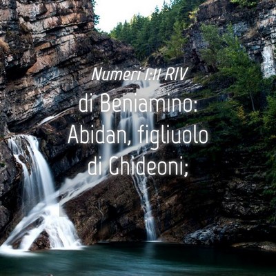 Picture 04 - Numeri 1:11 RIV - di Beniamino: Abidan, figliuolo di - Bible Verse Picture