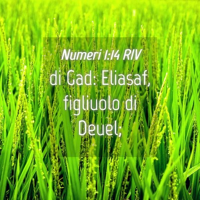 Picture 04 - Numeri 1:14 RIV - di Gad: Eliasaf, figliuolo di - Bible Verse Picture