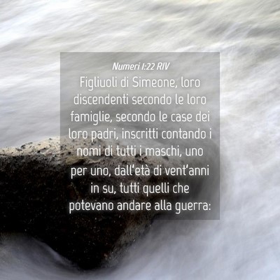 Picture 04 - Numeri 1:22 RIV - Figliuoli di Simeone, loro discendenti secondo le - Bible Verse Picture