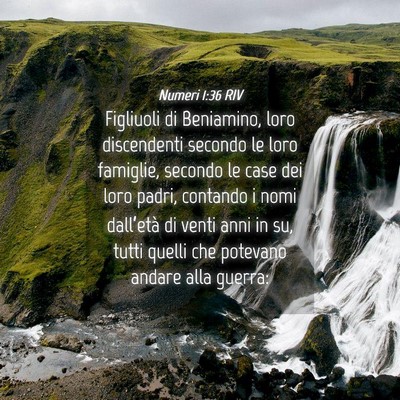 Picture 04 - Numeri 1:36 RIV - Figliuoli di Beniamino, loro discendenti secondo - Bible Verse Picture