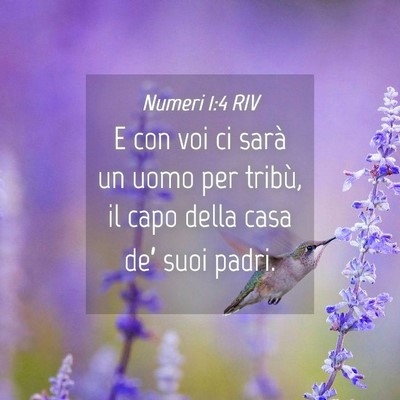 Picture 04 - Numeri 1:4 RIV - E con voi ci sarà un uomo per tribù, il capo - Bible Verse Picture