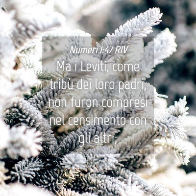 Picture 04 - Numeri 1:47 RIV - Ma i Leviti, come tribù dei loro padri, non - Bible Verse Picture