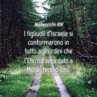 Picture 04 - Numeri 1:54 RIV - I figliuoli d’Israele si conformarono in tutto - Bible Verse Picture
