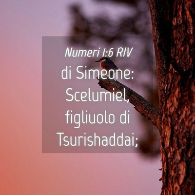 Picture 04 - Numeri 1:6 RIV - di Simeone: Scelumiel, figliuolo di - Bible Verse Picture